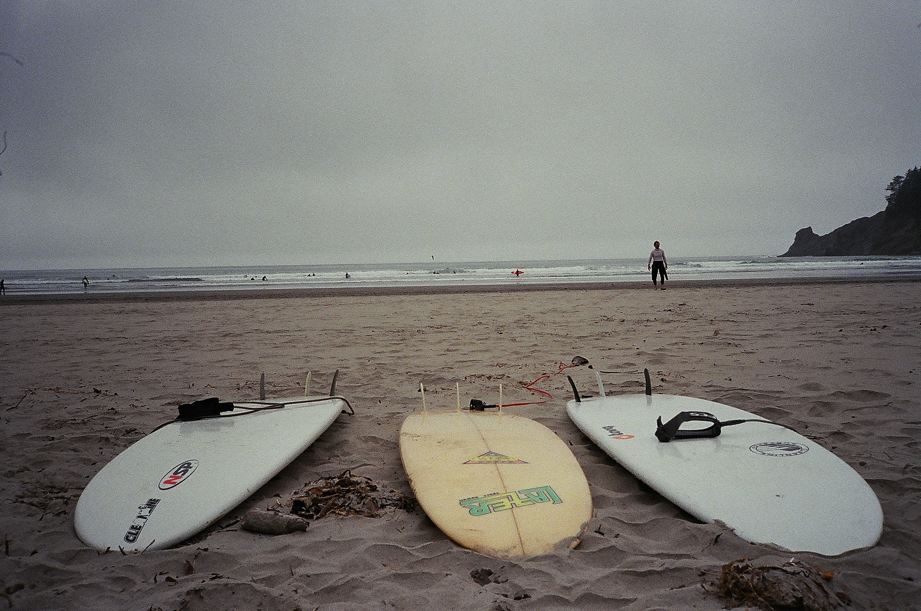 Oswald West State Park
Emma Fitzpatrick